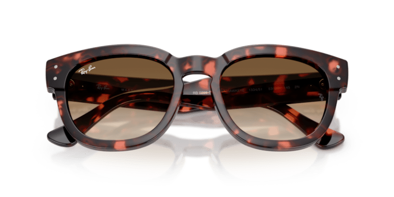 Pink Havana - 0RB0298S 8056262475126