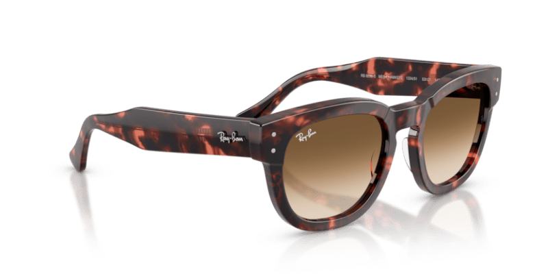 Pink Havana - 0RB0298S 8056262475126