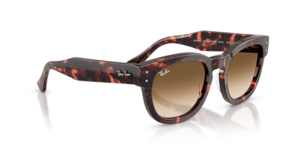 Pink Havana - 0RB0298S 8056262475126