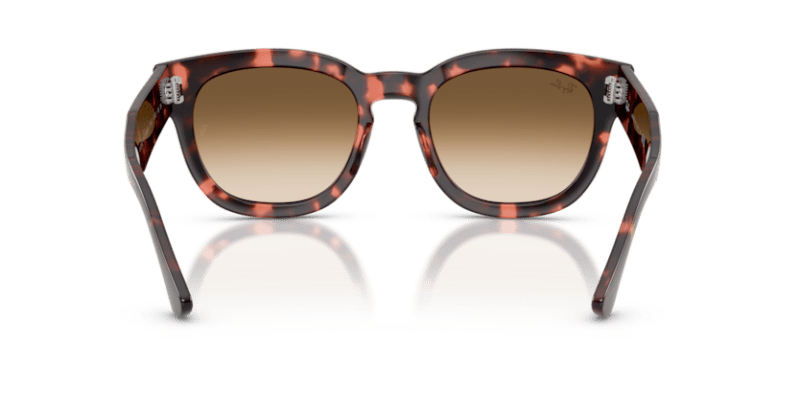 Pink Havana - 0RB0298S 8056262475126