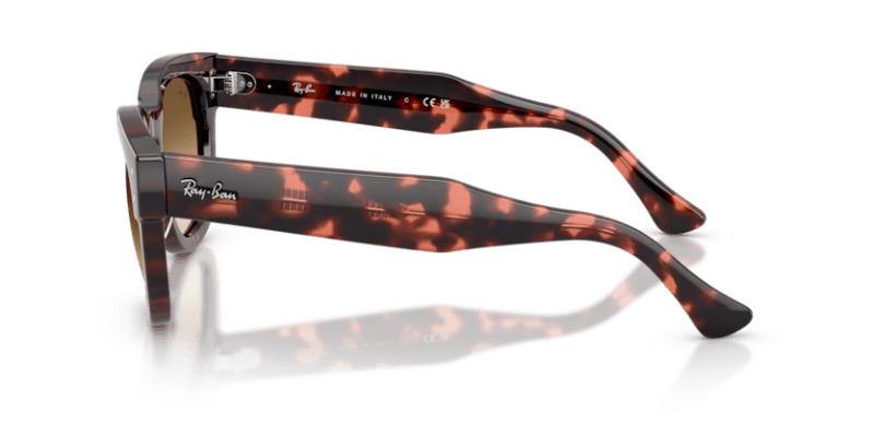 Pink Havana - 0RB0298S 8056262475126