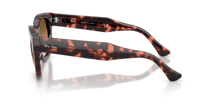 Pink Havana - 0RB0298S 8056262475126