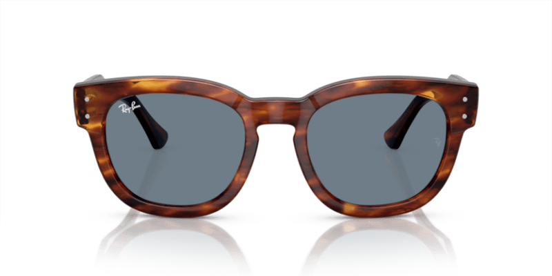 Striped Havana - 0RB0298S 8056597936132