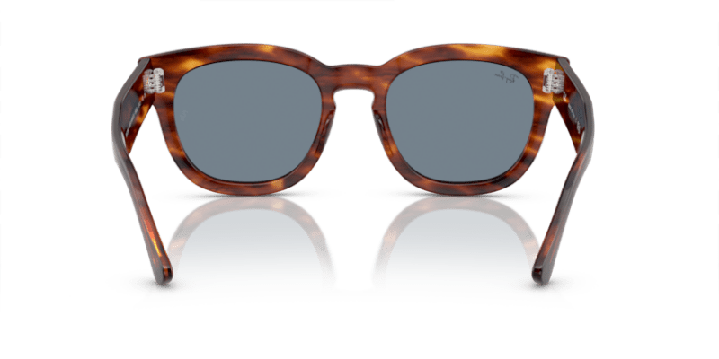 Striped Havana - 0RB0298S 8056597936132