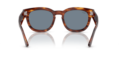 Striped Havana - 0RB0298S 8056597936132