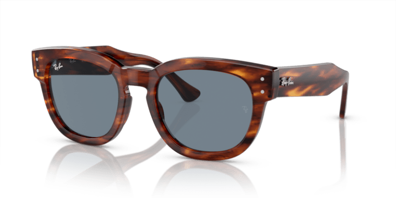 Striped Havana - 0RB0298S 8056597936132