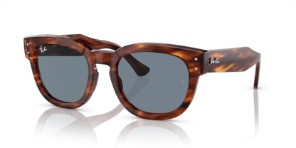 Striped Havana - 0RB0298S 8056597936132