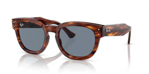 Striped Havana - 0RB0298S 8056597936132