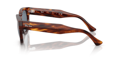 Striped Havana - 0RB0298S 8056597936132