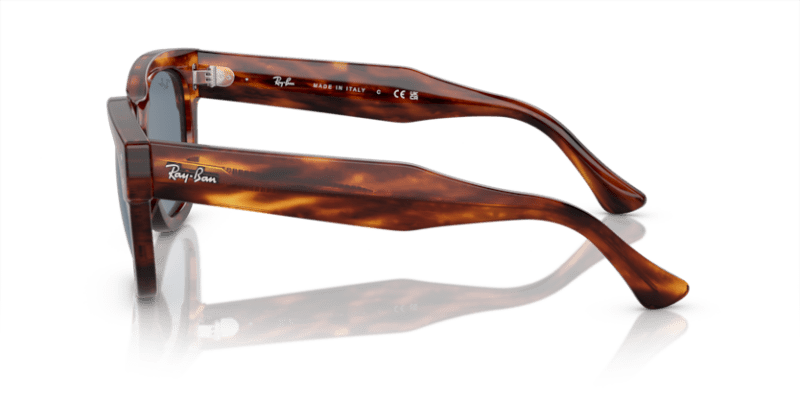 Striped Havana - 0RB0298S 8056597936132