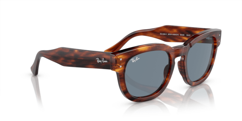 Striped Havana - 0RB0298S 8056597936132