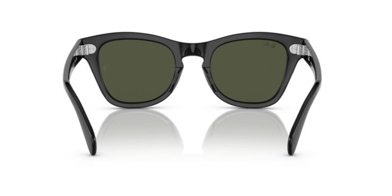 Black - 0RB0707S 8056597720397