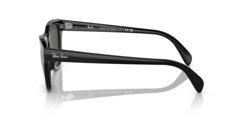 Black - 0RB0707S 8056597720397