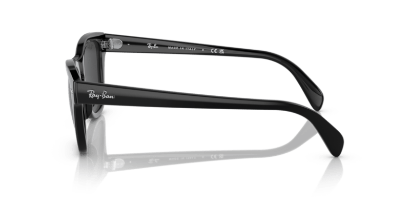 Black - 0RB0707S 8056597720427