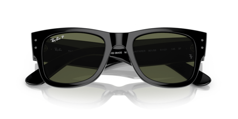 Black - 0RB0840S 8056597720687