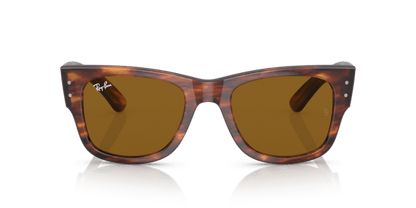 Striped Havana - 0RB0840S 8056597720694