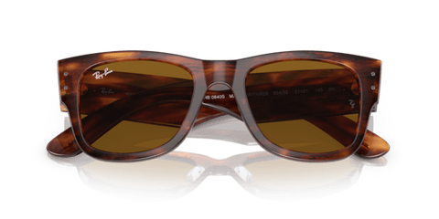 Striped Havana - 0RB0840S 8056597720694