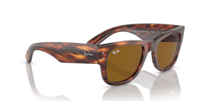 Striped Havana - 0RB0840S 8056597720694