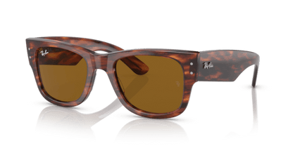 Striped Havana - 0RB0840S 8056597720694