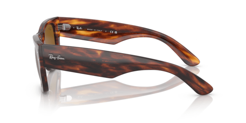 Striped Havana - 0RB0840S 8056597720694