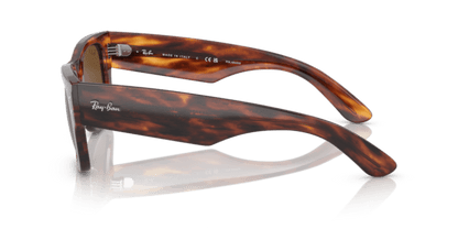 Striped Havana - 0RB0840S 8056597720700