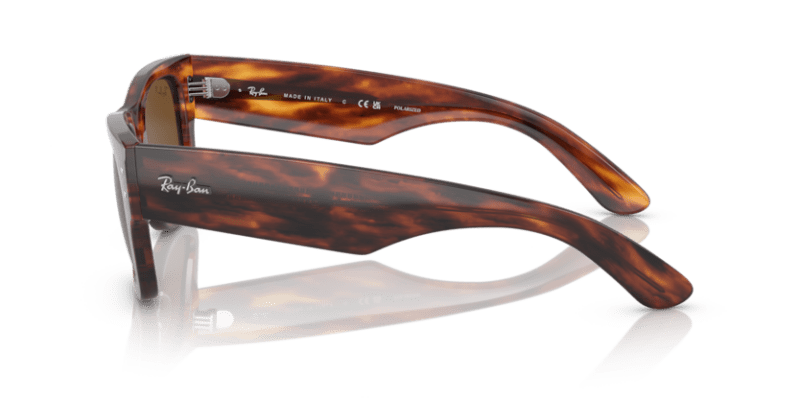 Striped Havana - 0RB0840S 8056597720700