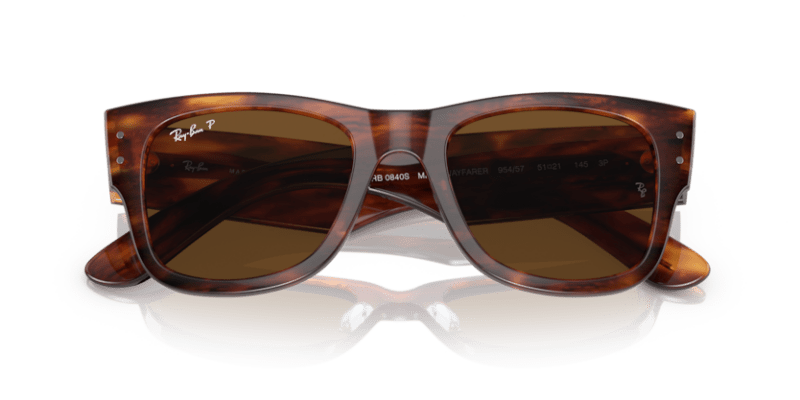 Striped Havana - 0RB0840S 8056597720700