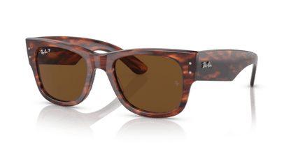 Striped Havana - 0RB0840S 8056597720700