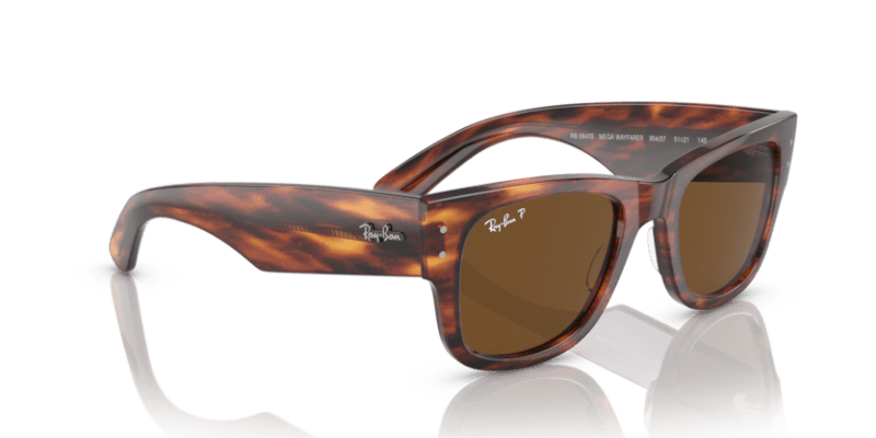 Striped Havana - 0RB0840S 8056597720700