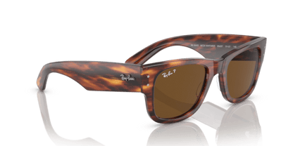 Striped Havana - 0RB0840S 8056597720700