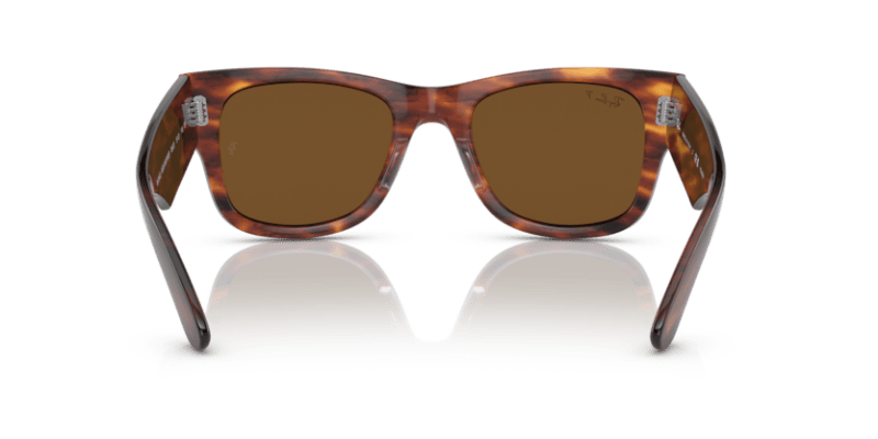 Striped Havana - 0RB0840S 8056597720700