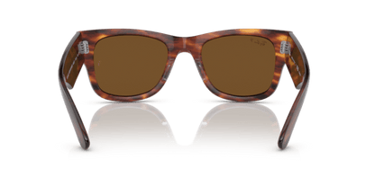 Striped Havana - 0RB0840S 8056597720700