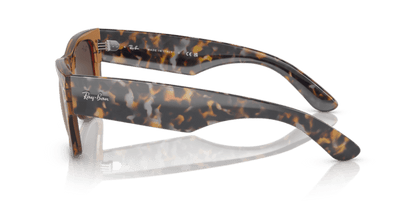 Transparent Brown - 0RB0840S 8056597720649