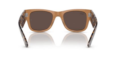 Transparent Brown - 0RB0840S 8056597720649