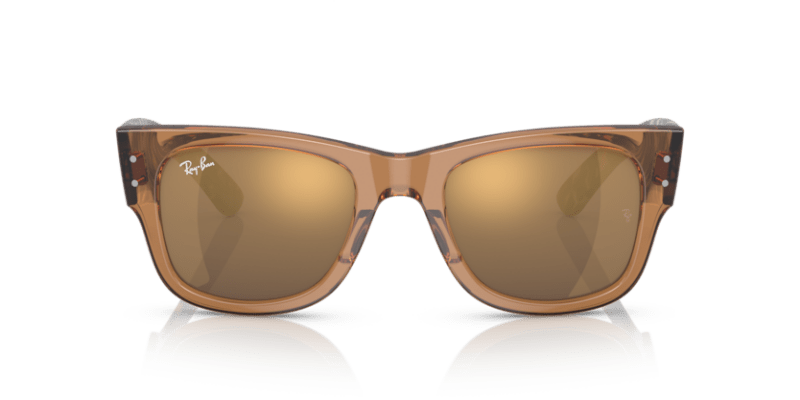 Transparent Brown - 0RB0840S 8056597720649