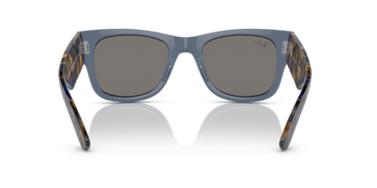 Transparent Dark Blue - 0RB0840S 8056597720663