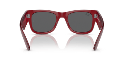 Transparent Red - 0RB0840S 8056597856393