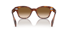 0RB0880S - Ray - Ban - (Striped Havana) Brown - 52 - 19 - 145 MM - Ardor Eyewear 8056597720625