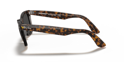 Havana On Transparent Brown - 0RB2140 8056597197694