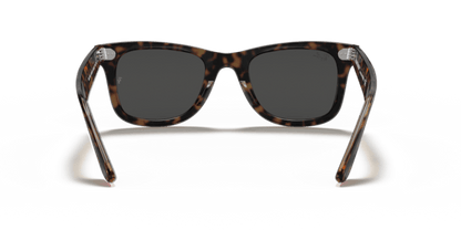 Havana On Transparent Brown - 0RB2140 8056597197694