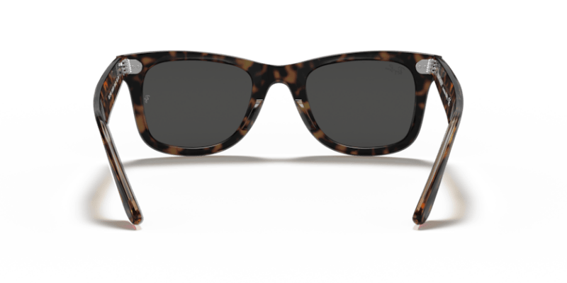 Havana On Transparent Brown - 0RB2140 8056597197694