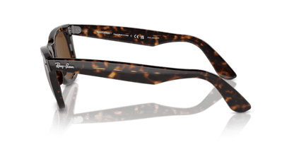 Tortoise - 0RB2140 805289126652