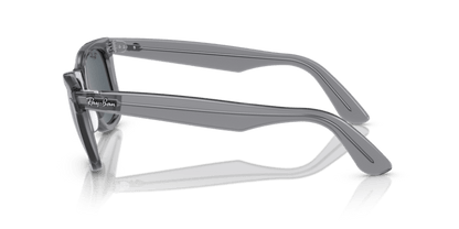 Transparent Grey - 0RB2140 8056597897181
