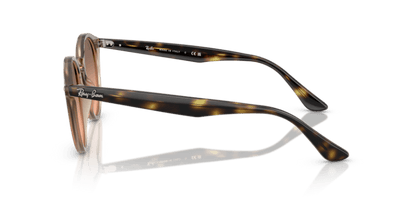 Turtledove - 0RB2180 8056262314562