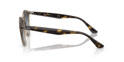 Turtledove - 0RB2180 8056262314586