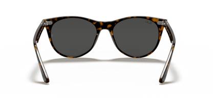 Havana On Transparent Brown - 0RB2185 8056597197847 Ray-Ban Sunglasses Unisex Phantos
