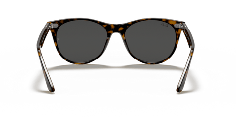 Havana On Transparent Brown - 0RB2185 8056597197847 Ray-Ban Sunglasses Unisex Phantos