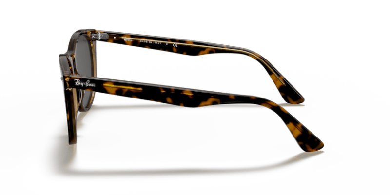 Havana On Transparent Brown - 0RB2185 8056597197847 Ray-Ban Sunglasses Unisex Phantos