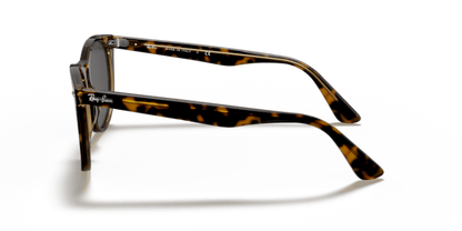 Havana On Transparent Brown - 0RB2185 8056597197847 Ray-Ban Sunglasses Unisex Phantos