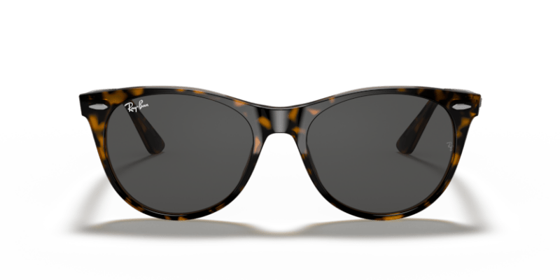 Havana On Transparent Brown - 0RB2185 8056597197847 Ray-Ban Sunglasses Unisex Phantos